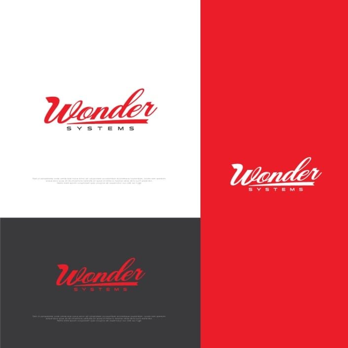 Wonder System Logo Design